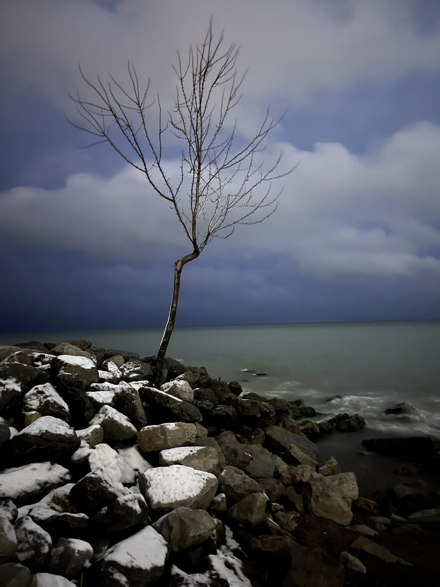 Radikal umudun sosyolojisi ve biyolojisi: Direnişin yeni sanatları